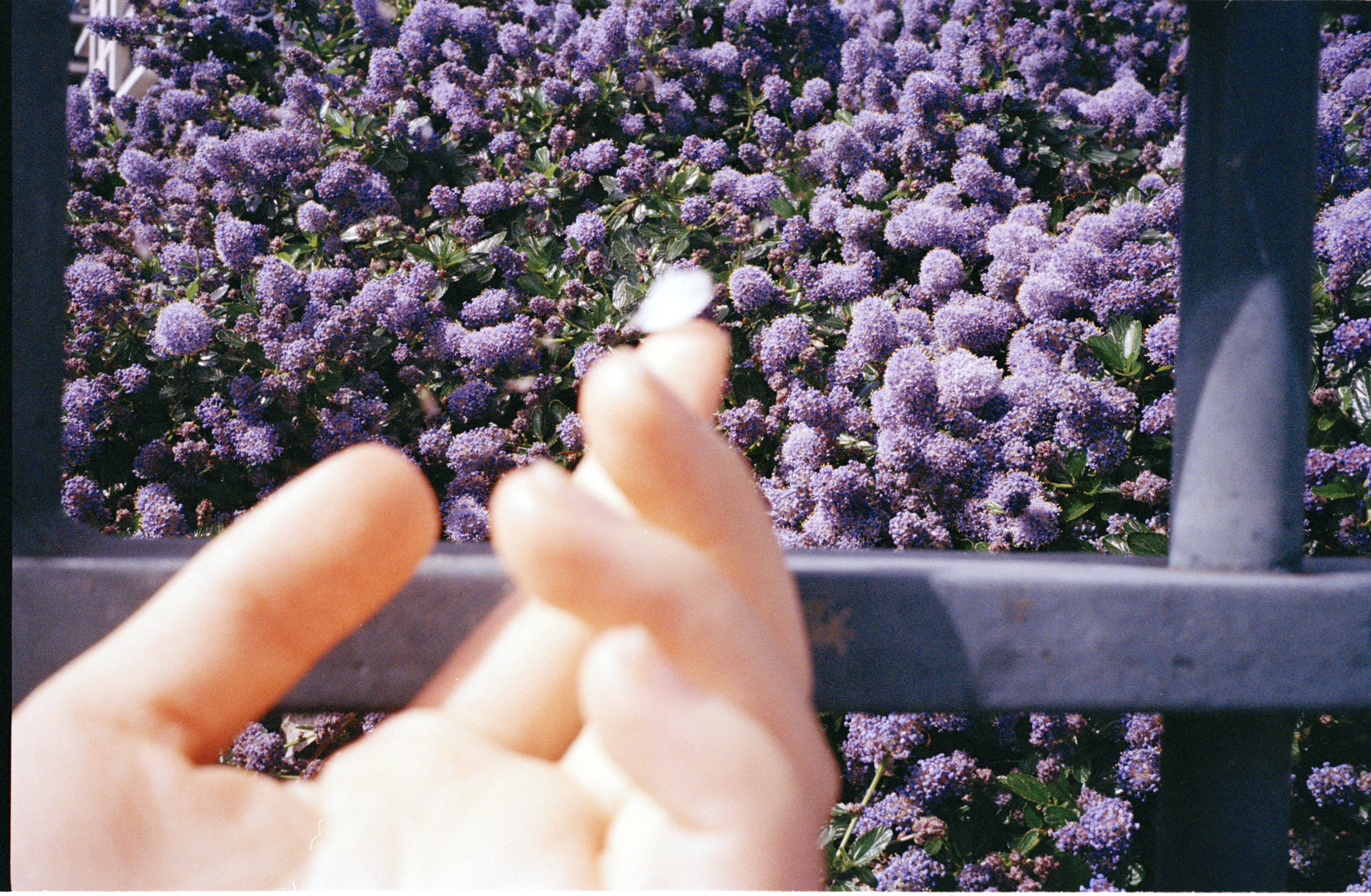 UK, sequence 4, image 1
