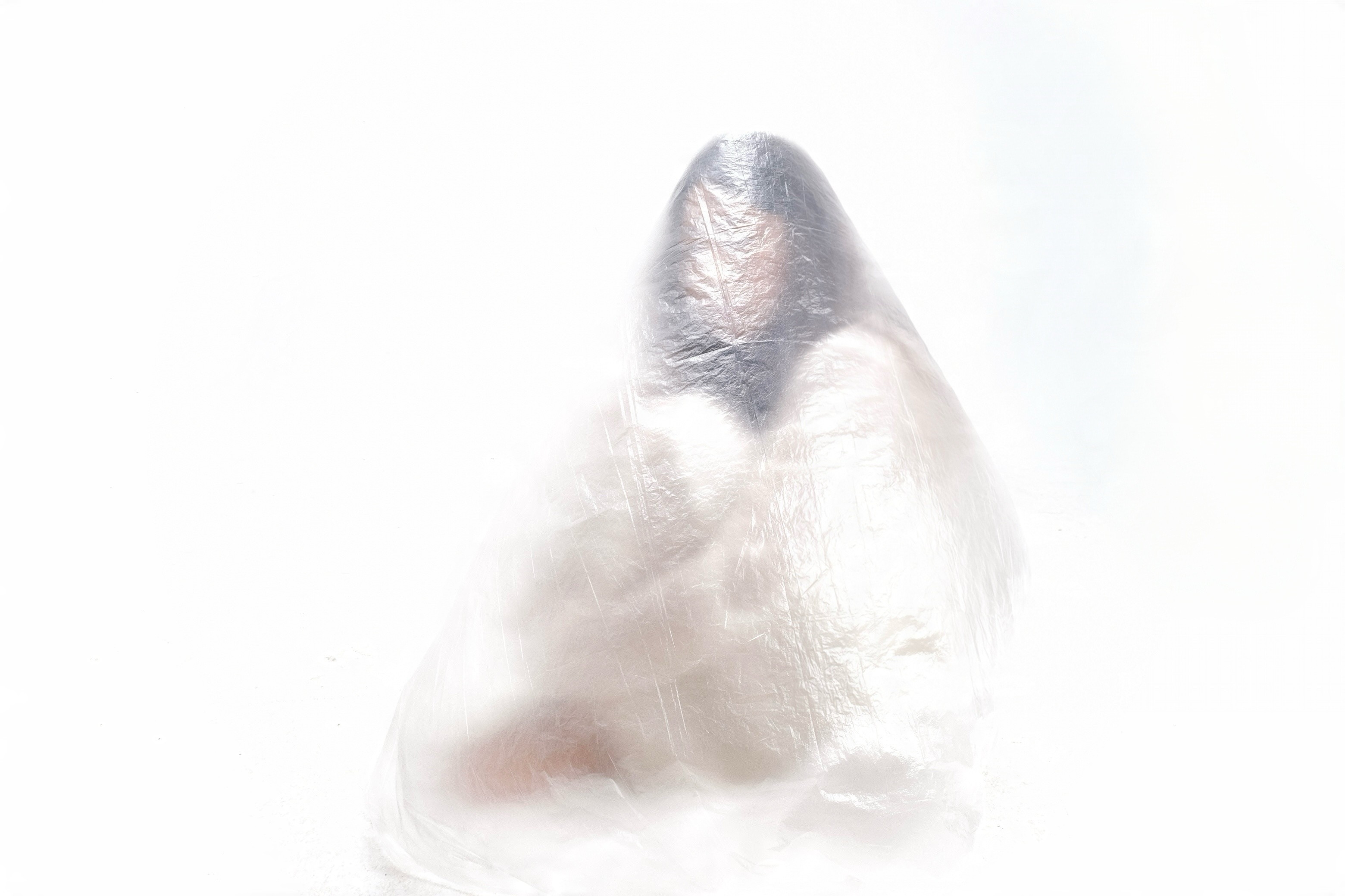 You'll be alright, photographed in Personal Project
